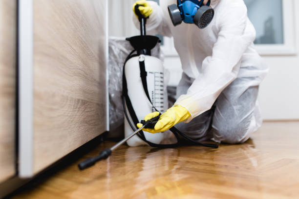 Best Pest Removal Services  in Mundelein, IL