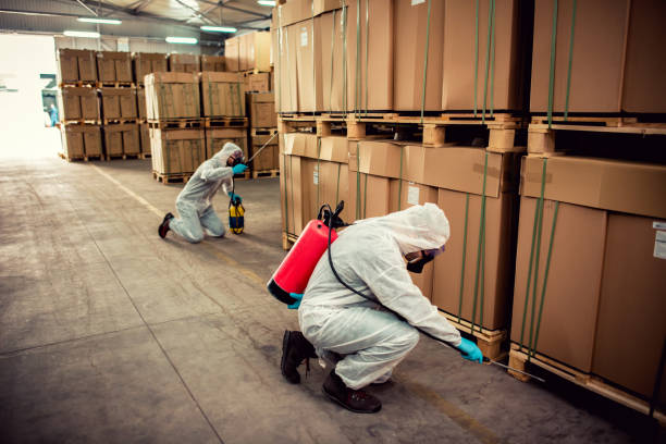 Best Wildlife Control Services  in Mundelein, IL