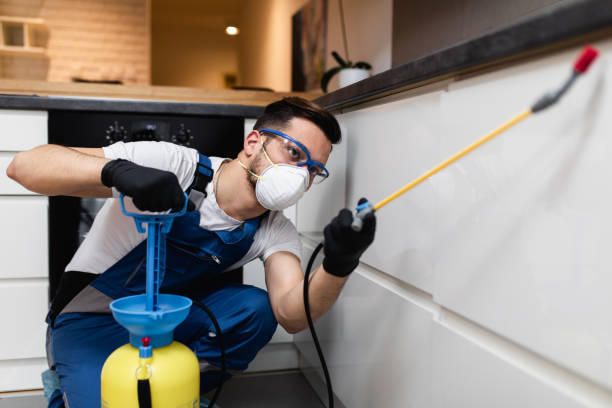 Best Pest Prevention Services  in Mundelein, IL