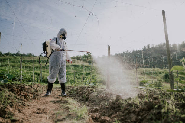 Best Commercial Pest Control Services  in Mundelein, IL