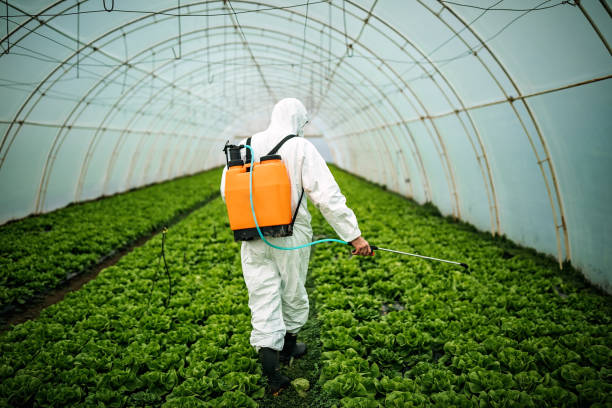 Best Pest Control Near Me  in Mundelein, IL