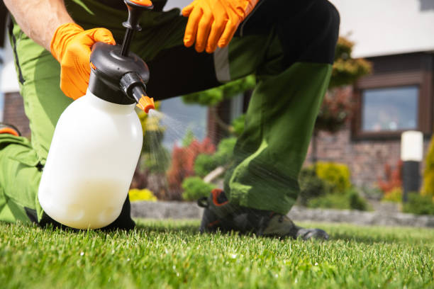 Best Pest Inspection Near Me  in Mundelein, IL