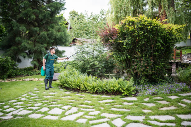 Wildlife Control Services in Mundelein, IL