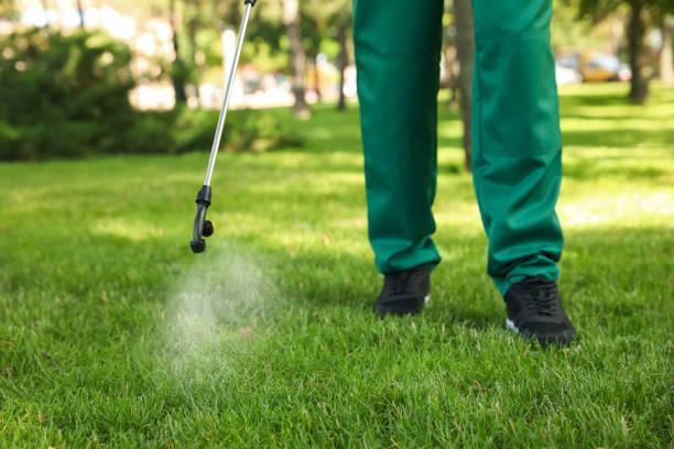 Best Wasp Removal Services  in Mundelein, IL