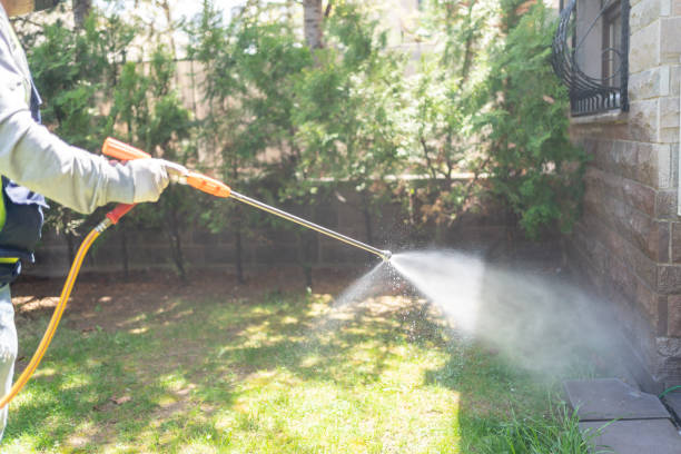 Best Pest Control Near Me in Mundelein, IL