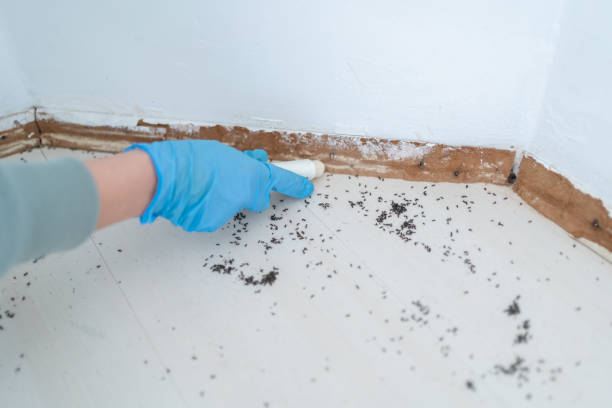 Best Pest Removal Services  in Mundelein, IL